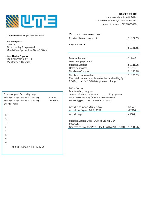 Uruguay UTE Company electricity business utility bill template in Word and PDF formats
